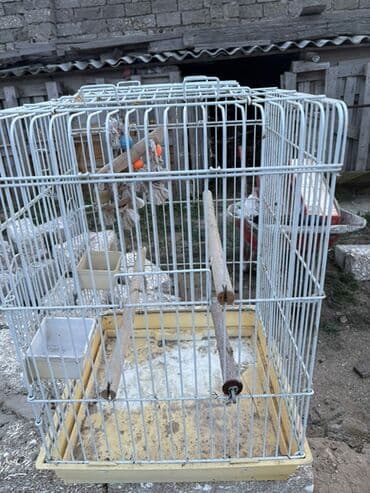 Daewoo: Quş qəfəsi - Material: metal barmaqlıqlar, plastik altlıq - Rəng: ağ — 6