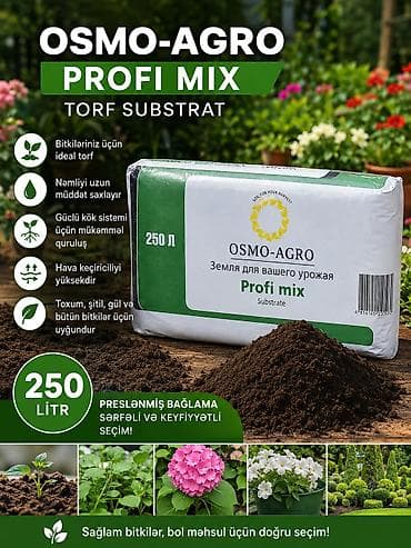 kalanxoye bitkisi: 250 Litrlik Torf Satılır 250 litrlik keyfiyyətli torf satışdadır. ✅ — 1