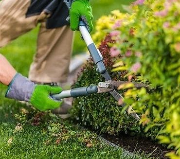 Bağban, 60 yaş, 5 ildən artıq təcrübə