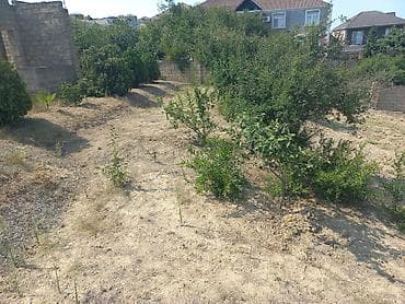 avto karavan: 10 sot, Tikinti, Mülkiyyətçi, Kupça (Çıxarış) — 6