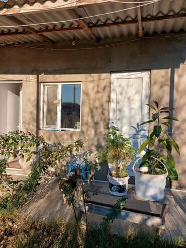 xacmaz rayonu: Bakı, Qala qəs., 550 kv. m, 3 otaqlı, Hovuzsuz, Artezian quyusu, Qaz, Su — 14