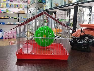 xamyak qefesi: Xamyak cunqarik bir cut ag vəya boz: Bir qəfəs bir kq yem iki aylıq — 2