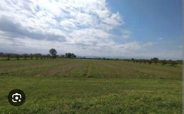 saray qəsəbəsində ucuz torpaqlar: 91 sot, Kənd təsərrüfatı, Mülkiyyətçi, Bələdiyyə — 9