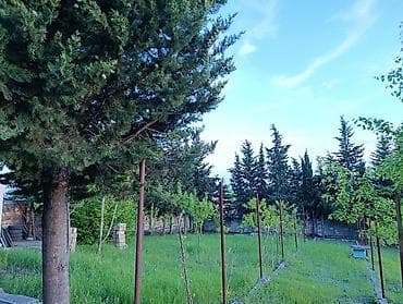ev alqi satqisi kirayesi: 90 kv. m, 4 otaqlı, İşıq — 1