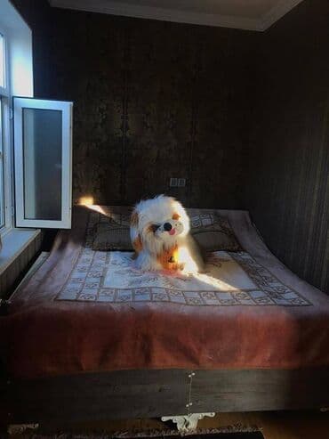 kiraye evler gence 2023: 80 kv. m, 3 otaqlı — 5