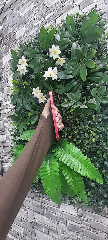 ıphone: IPhone 12, 128 GB, Qırmızı, Face ID — 3