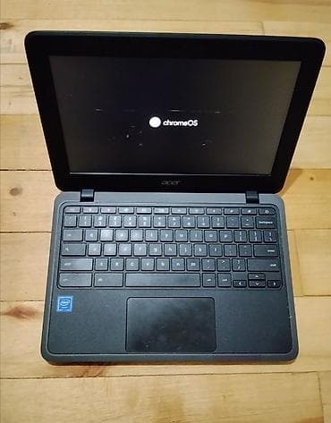 Adaptri, sumkasi ve maus var