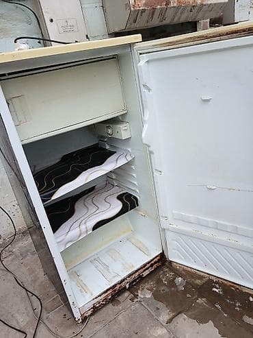 Kompakt birkameralı soyuducu - Üst hissədə kiçik dondurucu bölməsi - — 4
