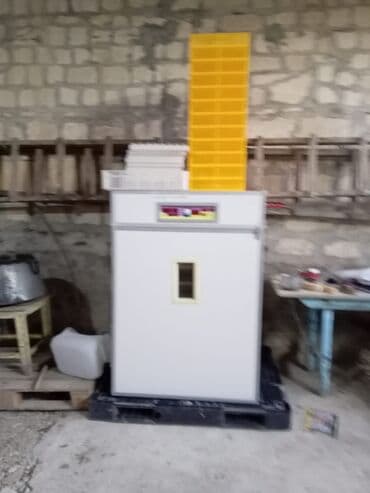 Avtoservis avadanlıqları: 1100 yumurta, Çin, Bütün növ quşlaq üçün — 3