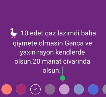 Gəmiricilər: Axtarılır: 10 ədəd qaz (canlı quş). Tələblər: - Qiymət: təxminən 20 — 1