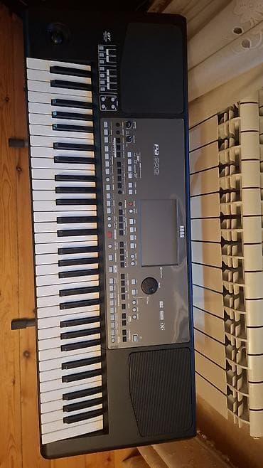 İdman və hobbi: Sintezator, Korg — 9