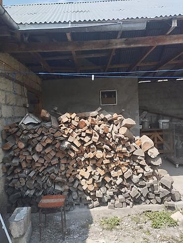 iran xurması ağacı: Ikisi biryerdə 250 manat real aliciya endirim olacaq — 1