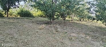 torpaq satşı: Kənd təsərrüfatı — 6