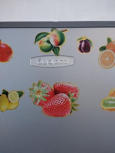 indezit soyuducu: İki kameralı məişət soyuducusu - Rəng: gümüşü (üst qapıda dekorativ — 5