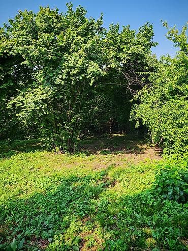 Daşınmaz əmlak: 4 otaqlı, 110 kv. m, Yeni təmirli — 7