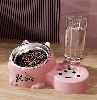 yem satışı: Şəxsi ad yazılı pişik yem və su qabı seti Ev pişikləri üçün gündəlik — 4