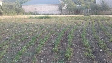 guneslide 3 otaqli evler: TƏCİLİ.Xahis olunur DİQQƏTLƏ oxuyun və sonra zəng etməyi unutmayin — 3