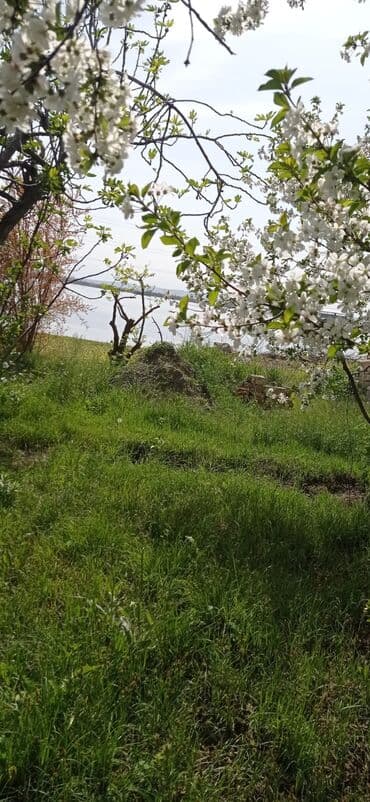 agdas ev: 9 sot, Tikinti, Mülkiyyətçi, Kupça (Çıxarış) — 20