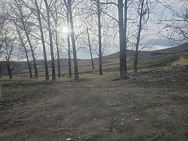 Bağ evləri: 12 sot, Tikinti, Mülkiyyətçi, Kupça (Çıxarış) — 7