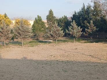 dübəndi torpaq: 15 sot, Biznes üçün, Makler, Kupça (Çıxarış) — 3