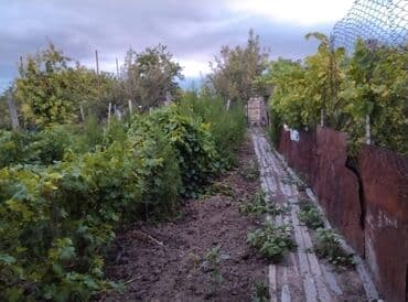 qazax rayonu: 4 otaqlı, 80 kv. m, Kredit yoxdur, Orta təmir — 10