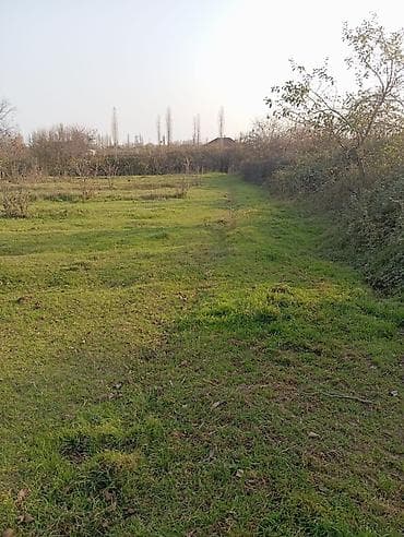 torpaqlarin satisi: 12 sot, Tikinti, Barter mümkündür, Kupça (Çıxarış) — 2