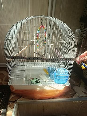 ucuz quşlar: Quş qəfəsi – aksesuarlarla birlikdə - Forma: yarımdairə damlı, metal — 3