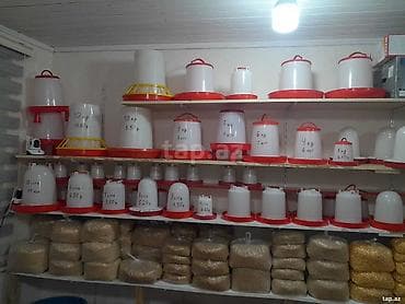 Heyvanlar üçün mallar: 🐔 Toyuq, cücə və göyərçinlər üçün yem və su qabları satılır 📦 Su — 2