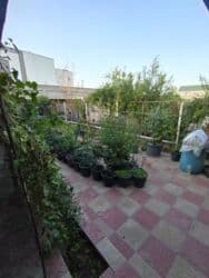 sumqayit 12 mkr kiraye evler: Merdekanda gözel yerde 4 sotda 4 otaqlı ev satılır qazı, ışıqı, suyu — 14