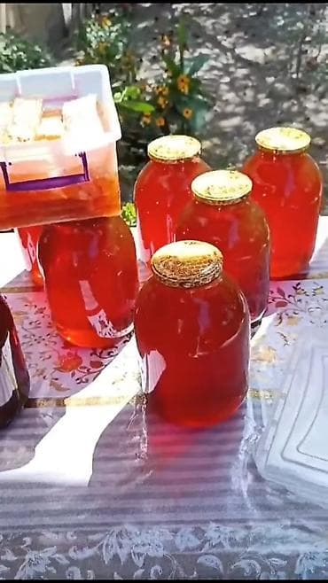 гул: Təbii arı balı – öz pətəyindən! - Məhsul: Çiçək balı (arı — 8