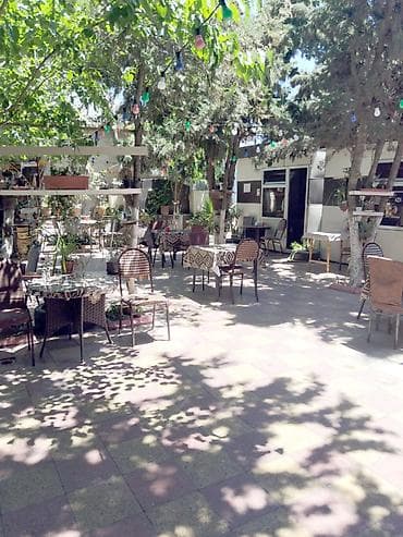 Ofisiant tələb olunur, Gündəlik ödəniş, 18-29 yaş, 1 ildən az təcrübə