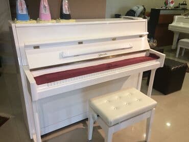 forte piyanino: Akustuk piano 10% endirimler davam edir.Royal Musiqi Aletleri salonu — 1