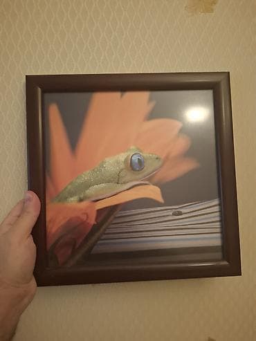 Dekorativ divar tabloları – qurbağa mövzulu 2 ədəd - Mövzu: Makro