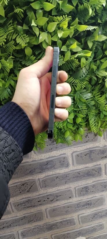 Техника для кухни: IPhone 12 Pro — 2