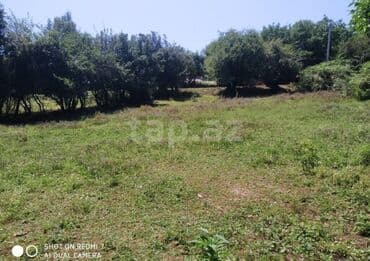 3 sot, Kupça (Çıxarış)