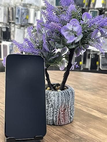 iphone 5s telefon: IPhone 16 Pro Max, 256 GB, Gümüşü, Face ID — 1