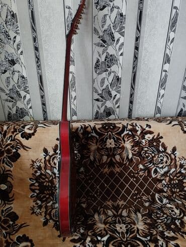 Musiqi alətləri: Elektron gitara, 6 sim, Yeni, Ödənişli çatdırılma, Rayonlara çatdırılma — 2