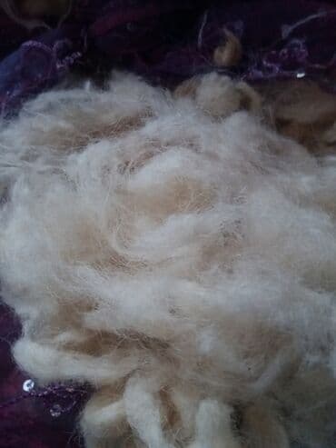 yun: Чистая шерсть 5 манат за килограмм — 2