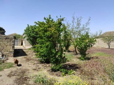 20 ci sahe kiraye evler 2024: 4 otaqlı, 95 kv. m, Orta təmir — 14