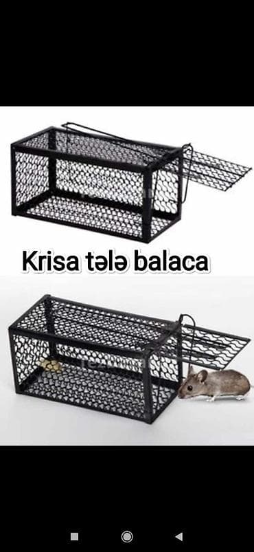 Tələ krisa balaca topdan satış — 1