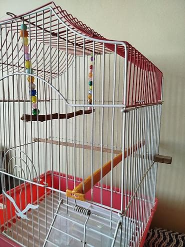 Qəfəslər: Qırmızı-ağ quş qəfəsi - Material: metal barmaqlıqlar, plastik altlıq — 4