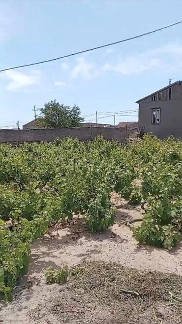 quba a frame evlər: Bakı, Türkan qəs., 20 kv. m, 2 otaqlı, Hovuzsuz, Qaz, İşıq, Su — 2