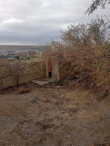 зарубежная недвижимость купить: Купчая — 1