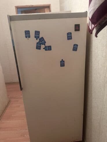 ВАЗ (ЛАДА): Bir kameralı soyuducu - Klassik ağ korpus, yuxarıda kiçik dondurucu — 1