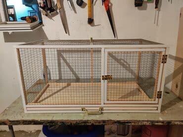 bildirçin yuvası: Dovşan,şinşila,bildirçin,cücə,xamyak,pişik,quş ve s kimi ev heyvanlari — 1