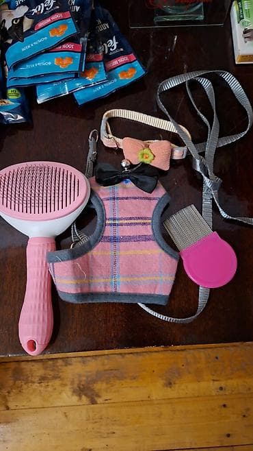 pisik qablari: Dişi — 6