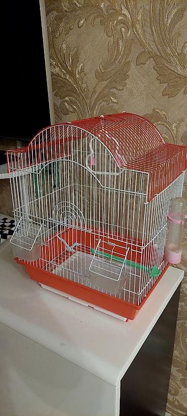 kecı: Quş qəfəsi – aksesuarlarla - Rəng: ağ metal barmaqlıqlar, qırmızı üst — 3