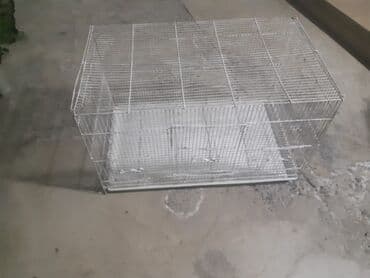 baliq tutmaq ucun yemler: 2 si biryerde 100manat

- yalniz whatcapla — 4