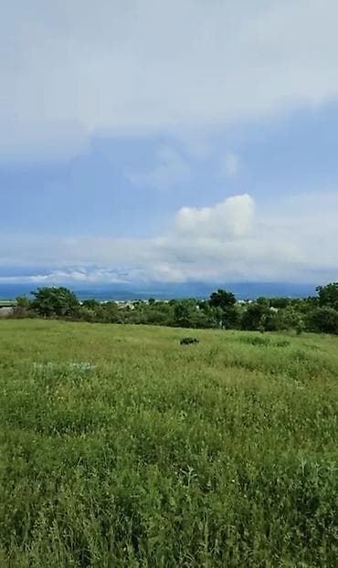 ucuz torpaq saheleri: 13 sot, Tikinti, Mülkiyyətçi, Kupça (Çıxarış) — 2