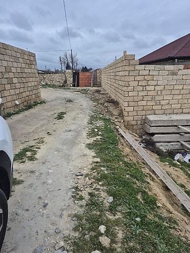 bulbulə torpaq: 2 sot, Kupça (Çıxarış) — 5